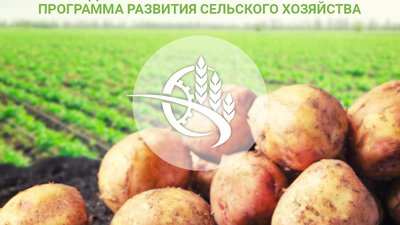 ФГБУ «Центр Агроаналитики» определено дирекцией ФНТП развития сельского хозяйства