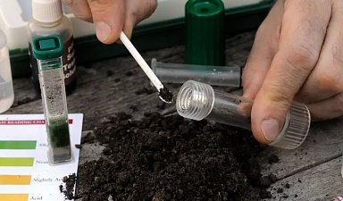 В ЛНР открылись лаборатории для проведения анализов посевных и сортовых качеств семян