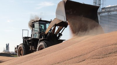 Производство кузбасской сельхозпродукции в 2022 году превысило 100 млрд рублей