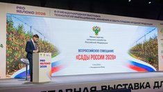 Производство плодов и ягод в России к 2030 году вырастет до 3 млн тонн