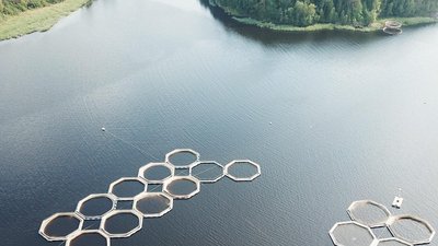 В России планируют почти вдвое увеличить производство товарной аквакультуры к 2030 году
