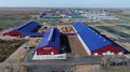 В Саратовской области реализован крупный инвестпроект в молочном скотоводстве