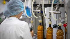 Совокупная выручка сельхозкооперативов Башкортостана за 5 лет выросла в 2,5 раза