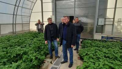 В Республике Татарстан завершилась уборочная кампания основных зерновых культур