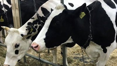 46 наград привезла Вологодчина с агропромышленной выставки «Золотая осень – 2023»