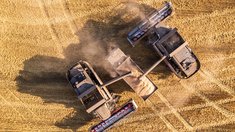 Новосибирская область убрала 97% зерновых и получила 1,98 млн тонн урожая