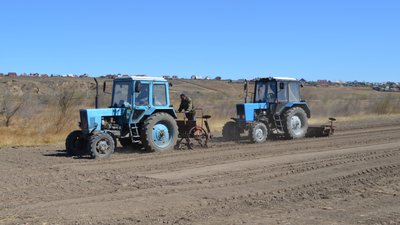 Посевная площадь овощей в Забайкалье составила 132 га