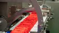 Россия и Беларусь переходят к совместной переработке сельхозпродукции