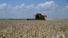 В Запорожской области стартовала уборочная кампания