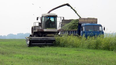 Аграрии Новосибирской области при поддержке государства заготовят более миллиона тонн сенажа