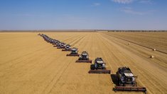 В Кузбассе собрали на 400 тысяч тонн зерна больше, чем в прошлом году