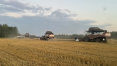 В Томской области продолжается уборочная кампания