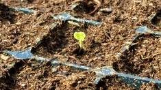 Сахалинские аграрии приступили к малой посевной