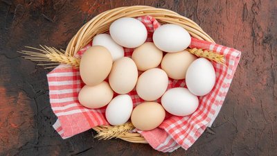 Производство куриных яиц в Костромской области выросло на 10%