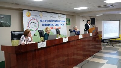 На XXIII Российской выставке племенных овец и коз обсудили вопросы реализации шерсти для легкой промышленности