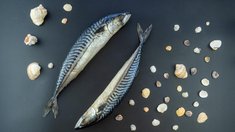 Совет Федерации одобрил ряд законопроектов в АПК