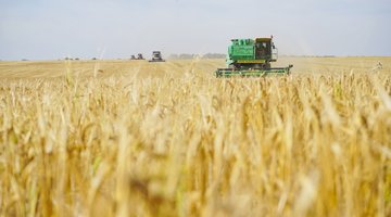 Аграрии Ивановской области получили 609,3 млн рублей господдержки за девять месяцев