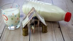 В Псковской области приступили к основному этапу реализации проекта по строительству животноводческой фермы