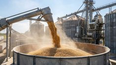 Топ-10 операторов контролируют 35–36% мощностей российского рынка зерновых элеваторов