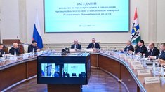 Пострадавшим хозяйствам Новосибирской области будет оказана вся необходимая поддержка