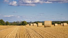 Путин подписал ряд законов в АПК