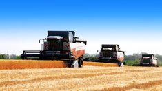 Саратовские хлеборобы намолотили первые 100 тыс. тонн зерна
