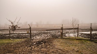 В РФ разработали законопроект о запрете строительства новых скотомогильников