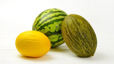 Урожай арбузов и дынь в России ожидается на уровне прошлого года