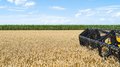 В Смоленской области намолочено 235 тыс. т зерна 