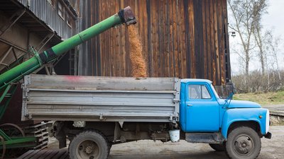 В Красноярском крае дополнительно поддержат производителей зерновых