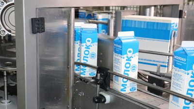 Объём реализации молока в сельхозорганизациях вырос на 2,1%