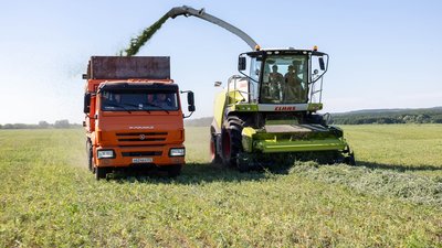 Нижегородские аграрии выполнили план по заготовке кормов более чем на 50% 