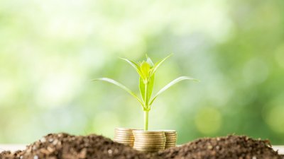 На развитие АПК и сел Ивановской области в 2023 году предусмотрено 510,2 млн руб.