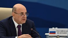 Мишустин призвал страны ЕАЭС укреплять свою продбезопасность