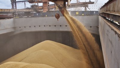 Мариупольский порт наращивает мощности перевалки сельхозпродукции