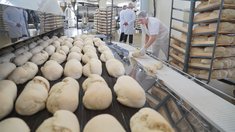 К концу года в Ивановской области введут новую линию по производству хлебопекарной продукции