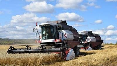 К 2027 году в Красноярском крае планируют реализовать семь инвестпроектов в АПК