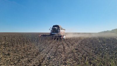 Саратовские аграрии собрали первую тысячу тонн подсолнечника урожая-2023
