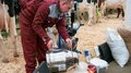 Больше половины опрошенных россиян назвали престижной работу в молочной отрасли