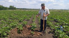 В Луганской Народной Республике продолжается мониторинг земель сельхозназначения