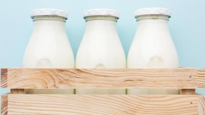 В Брянской области суточная продуктивность коров выросла на 6%