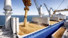 Товарооборот продукции АПК между Россией и Египтом за I квартал вырос на 7%