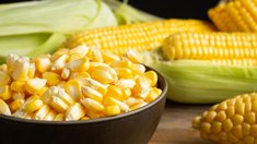 В Воронежской области построят завод по глубокой переработке кукурузы за 110,4 млрд руб. 