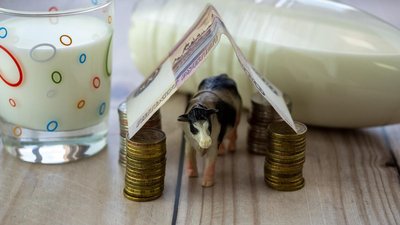 Аграрии Кировской области получили 1 млрд руб. господдержки из бюджета РФ