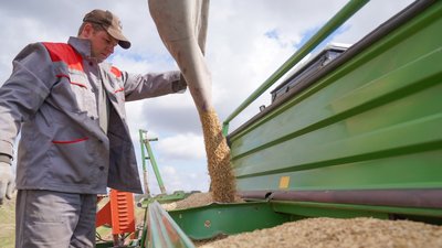 Яровыми культурами в Ивановской области засеяно 80% запланированных площадей