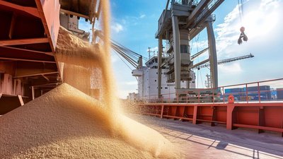 В РФ распределили основную часть квоты на экспорт зерна в 2024 году между 261 компанией
