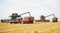 Аграрии Ивановской области приступили к уборочной кампании