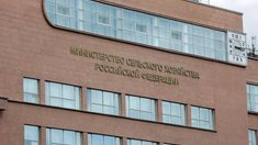 В Минсельхозе обсудили подготовку к переходу на электронные перевозочные документы