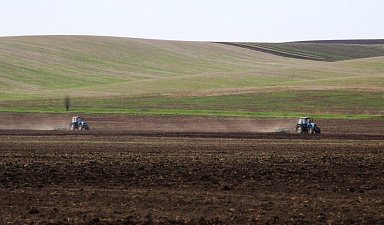 Еще два хозяйства Томской области получат гранты на развитие семейных ферм
