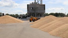 Аграрии Томской области получат субсидии на поддержку производства и реализацию зерновых культур